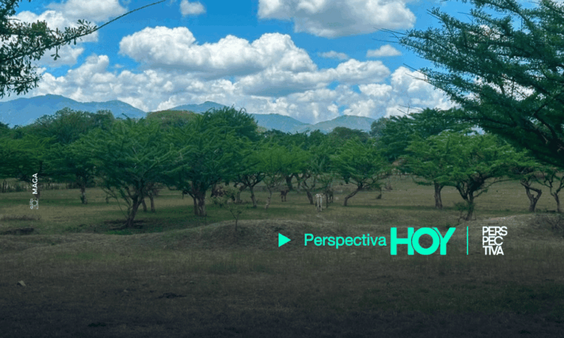 El MAGA insta a agricultores y ganaderos a tomar medidas preventivas frente a las altas temperaturas en 18 departamentos.