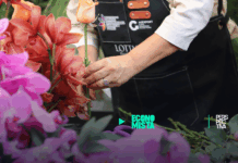 Sector de Plantas ornamentales buscan impulsar exportaciones ante retos competitivos Agua Pura Salvavidas y Fundecán presentan la 14.ª edición de la campaña de concienciación sobre el cáncer de mama.